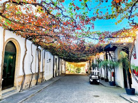 sinvello jerez|Cádiz / Jerez de la Frontera